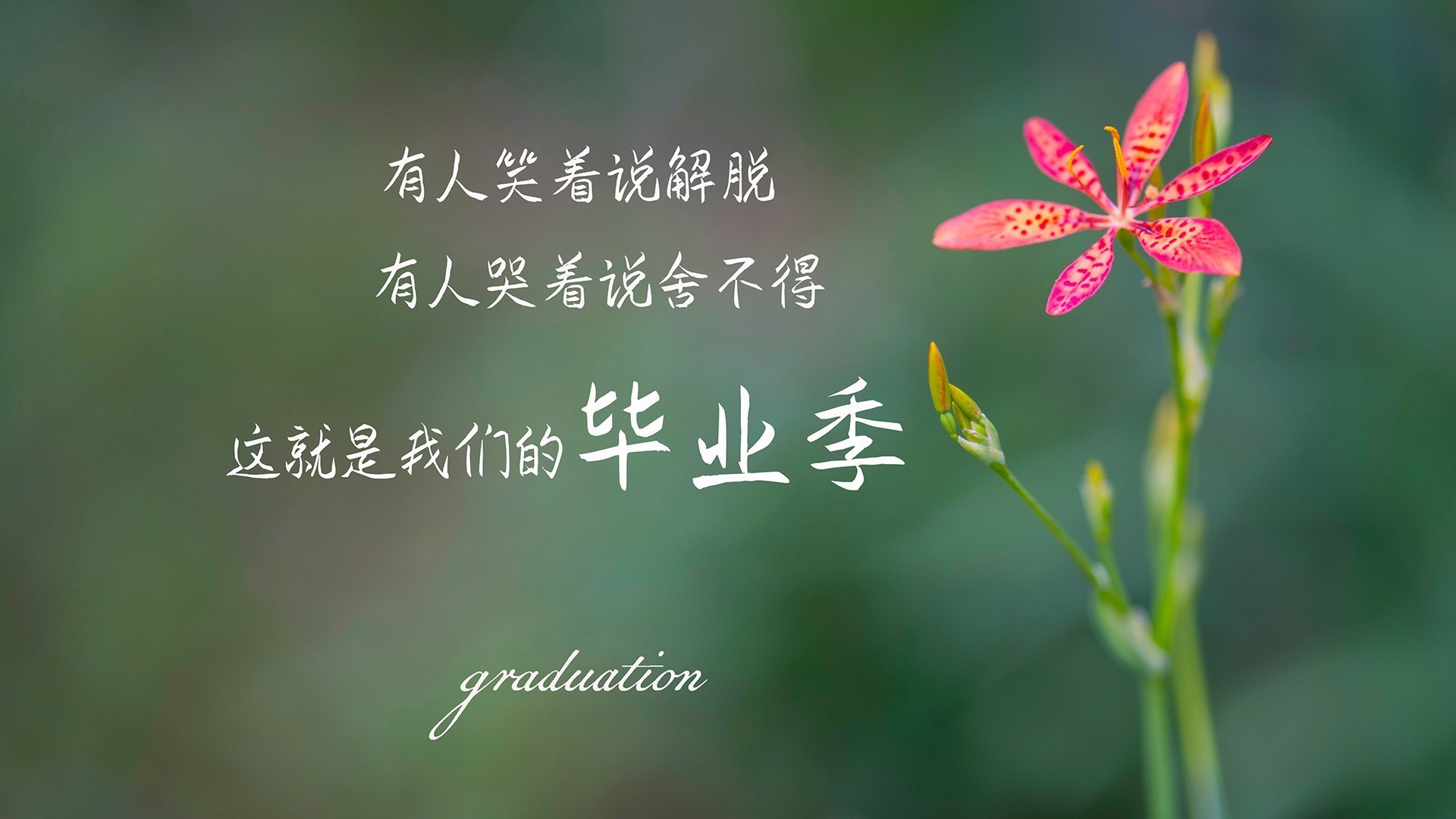 熊猫体育APP-特色足球场馆“绿色+智慧”成为行业标杆，硬件设施不断完善，专业足球场