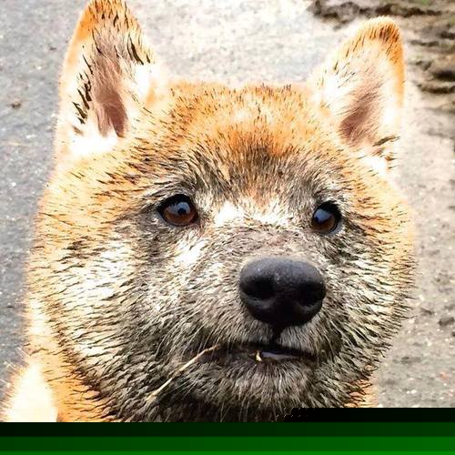 熊猫体育平台安全-国家队欧国联取得突破，迎战欧锦赛决战之际，欧国联赛程2020谁能拿冠军