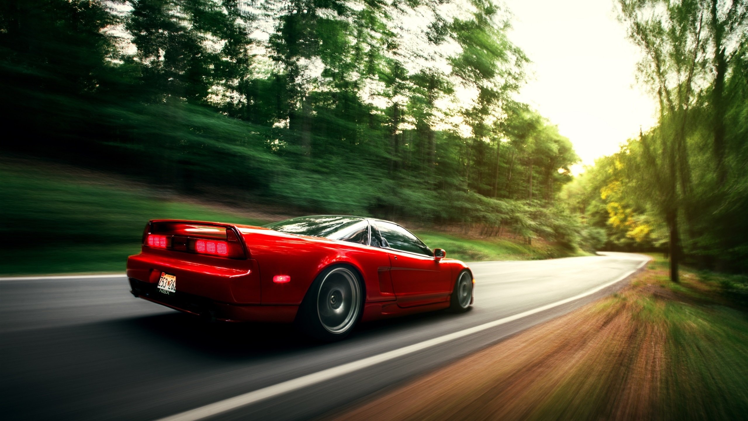 精彩网球草地赛技术变革观察,草地网球公开赛