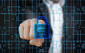 熊猫体育下载-科学管理体系研究，科学管理体制