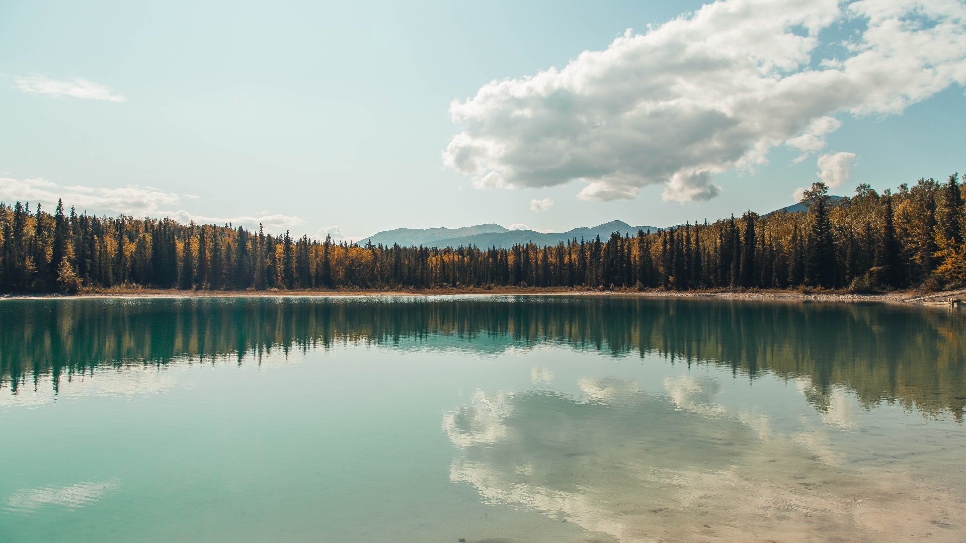 运动营养指导纳入专业教练日常课程体系,运动营养与指导