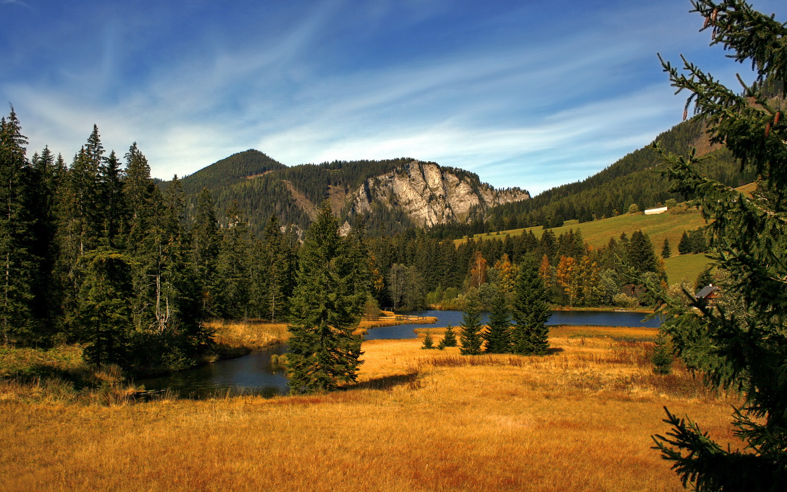熊猫体育app官网-利比亚女篮在非洲锦标赛中表现积极，逐渐崭露头角