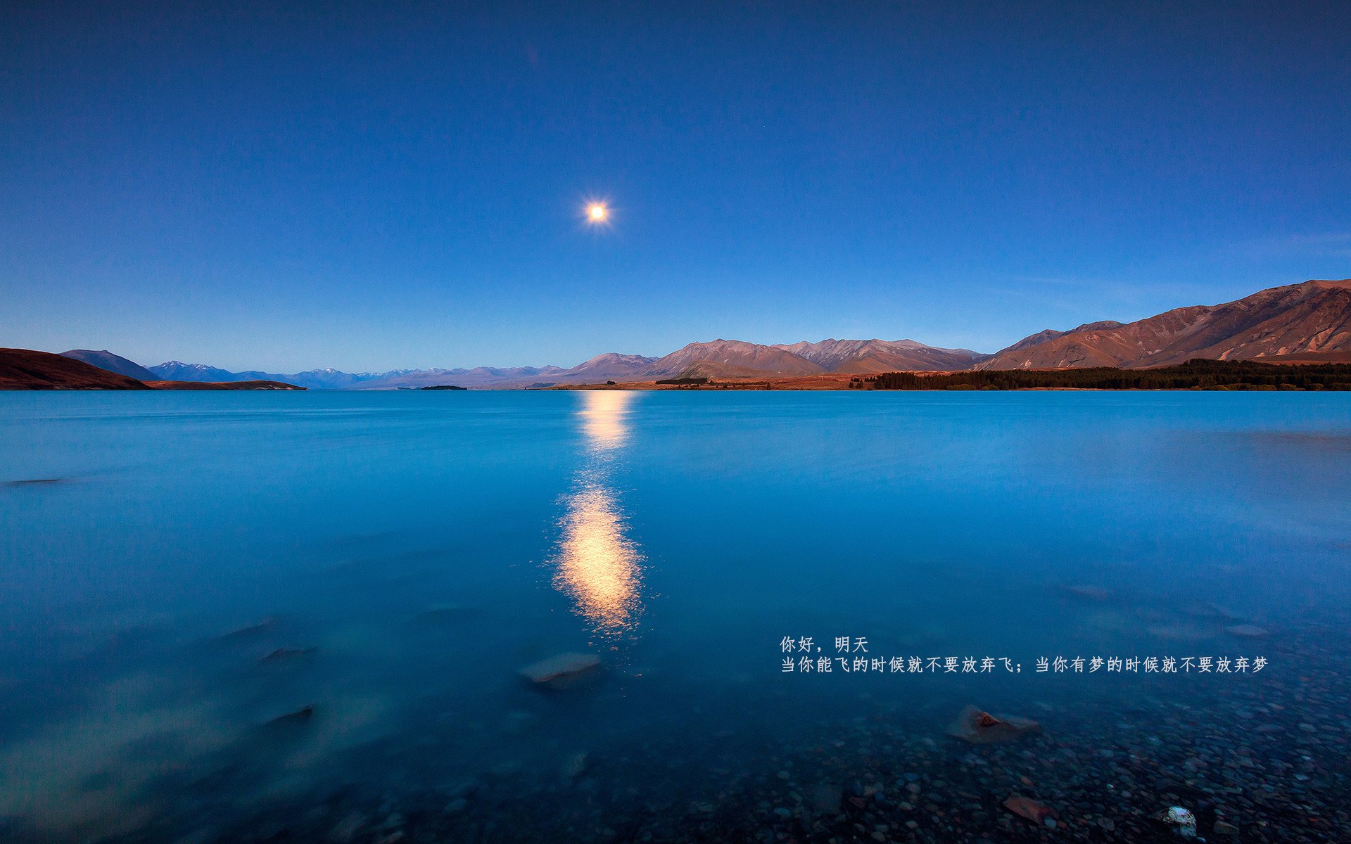 塔特的球场智慧与精准的进攻策划,使袋鼠队战无不胜