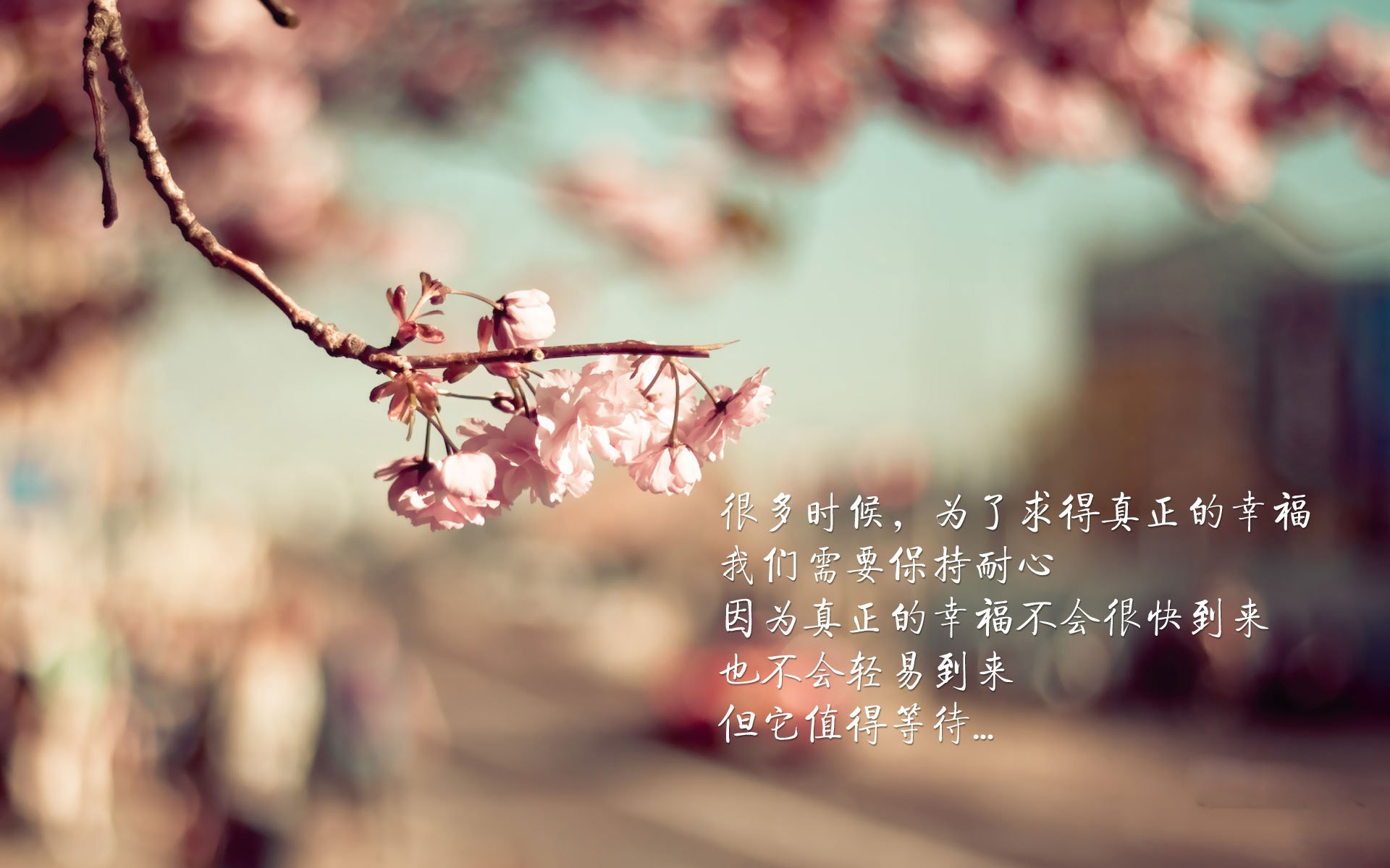 熊猫体育在线登录-女子篮球青训注重身体与技能结合促进成长，女子篮球队训练教案