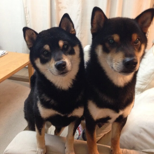 熊猫体育app-恩比德谈团队防守意识有显著提升，恩比德进攻技巧